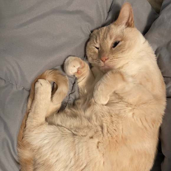 Meet your Posher, Jennifer - Picture 1 of 1